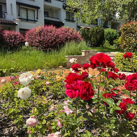 Casa Oasis Appartamento *