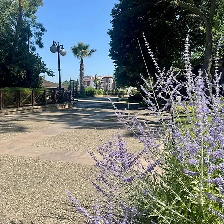 Apartmán Casa Oasis Lozenec