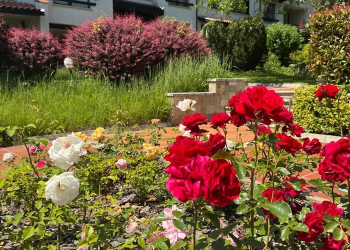 Casa Oasis Апартамент *