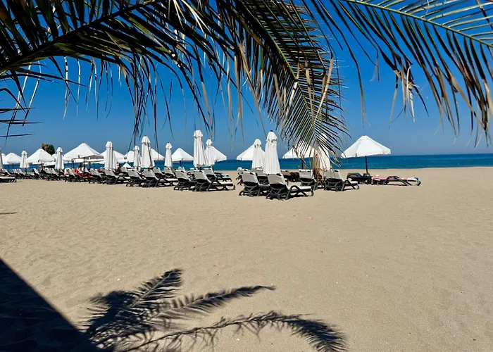 Casa Oasis Апартамент *